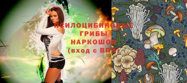 твердый Алзамай