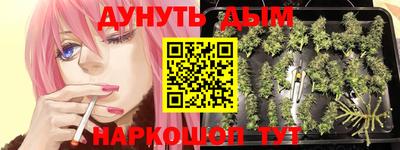 шишки Донецк
