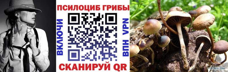 Галлюциногенные грибы Cubensis Феодосия