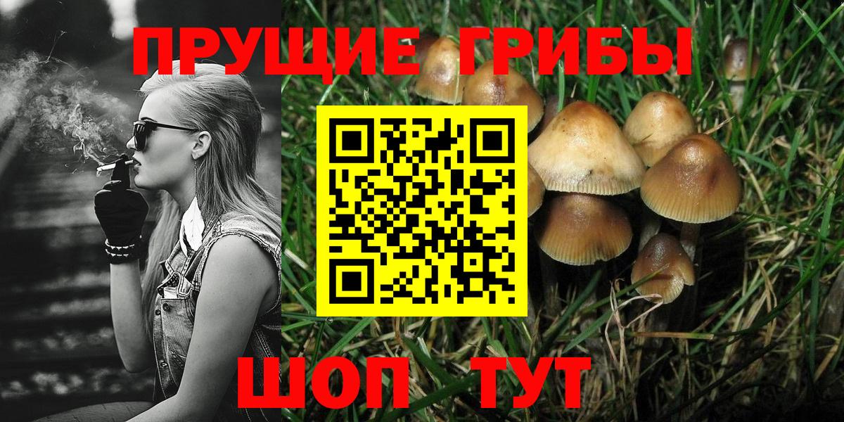 Галлюциногенные грибы мухоморы  Вход с VPN  Феодосия 