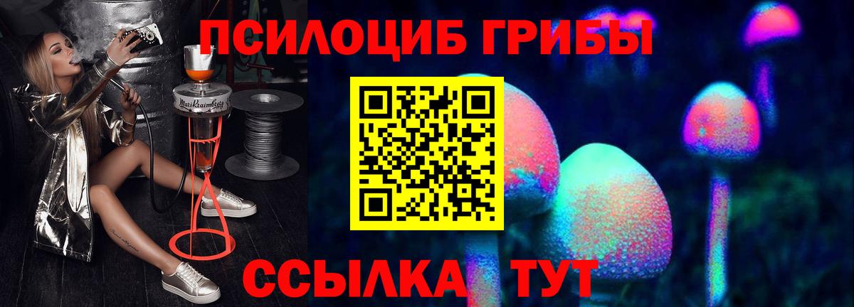 Псилоцибиновые грибы Cubensis Феодосия